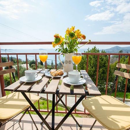 Villa Pergola-Apartment Toni Mlini Esterno foto
